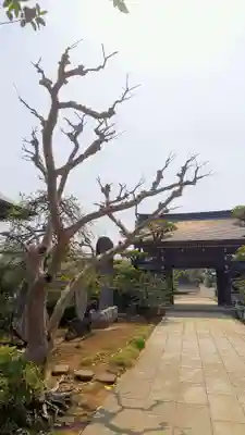 全徳寺の山門・神門