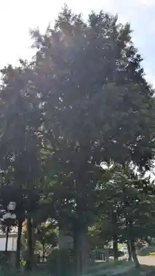 本願寺帯広別院の自然