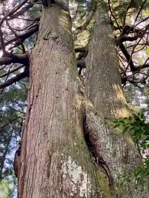 黒瀧神社(三重県)