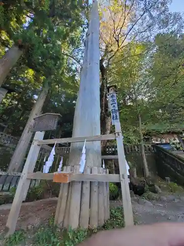 諏訪大社の自然