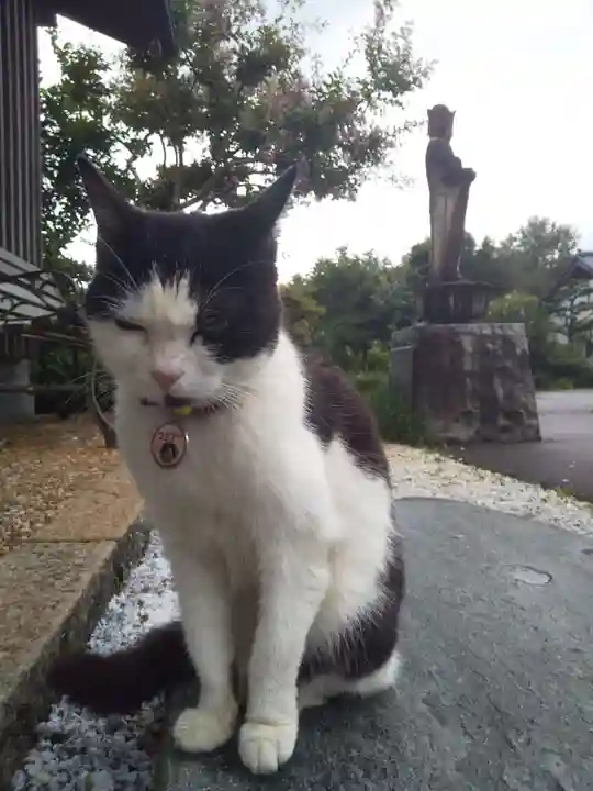 御誕生寺(猫寺)(福井県)