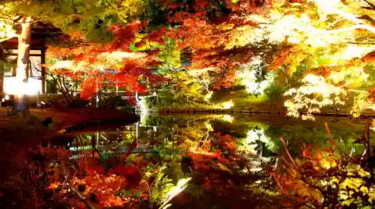 高台寺(高台寿聖禅寺・高臺寺)の自然