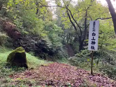 白山神社(長野県)