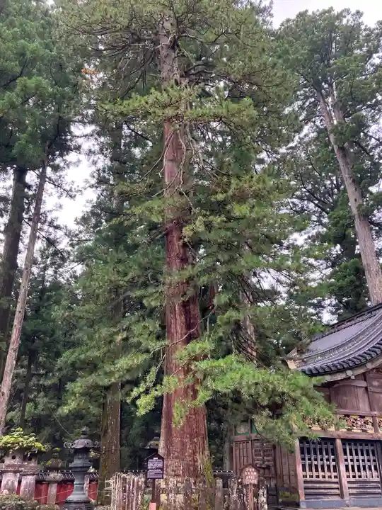 日光東照宮(栃木県)