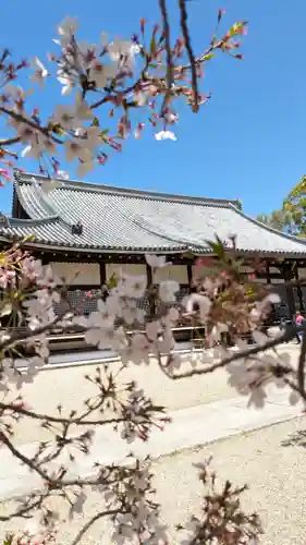 仁和寺(京都府)