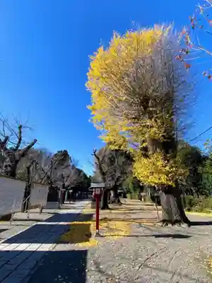 鷲宮神社のその他建物