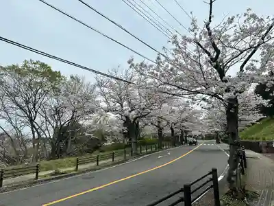 人とペットのお寺仙光院(神奈川県)