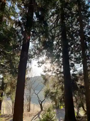 大宮温泉神社(栃木県)