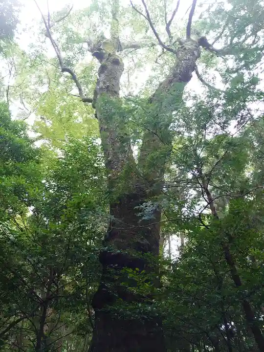 伊勢神宮外宮(豊受大神宮)(三重県)