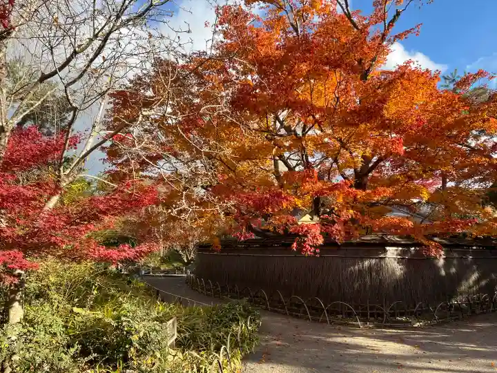 宝厳院(京都府)