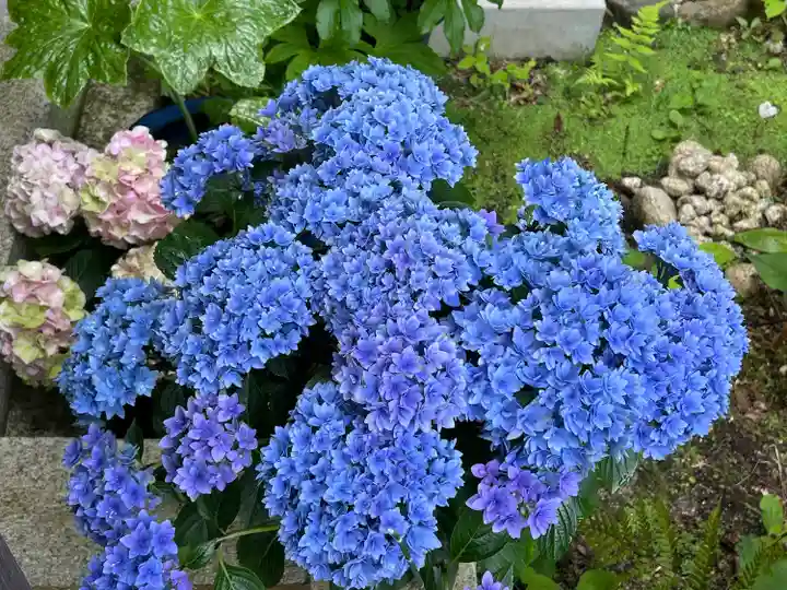 源光庵(京都府)