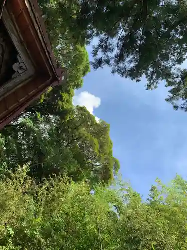 小高神社の自然