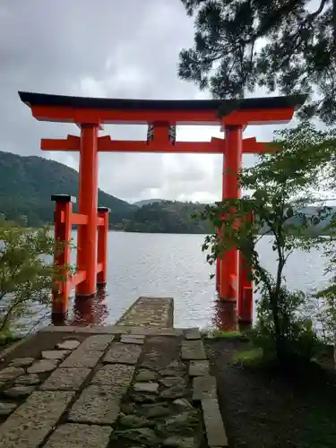 箱根神社の鳥居