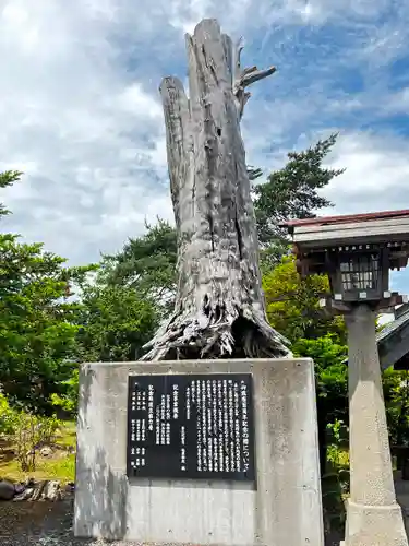 蘆別神社の自然