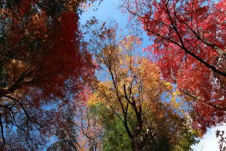 愛宕神社の景色
