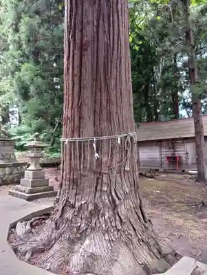 立行事稲荷神社(福島県)