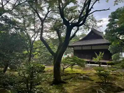 慈照寺(慈照禅寺・銀閣寺)の庭園