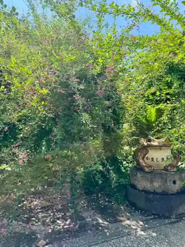 勝念寺（かましきさん）(京都府)