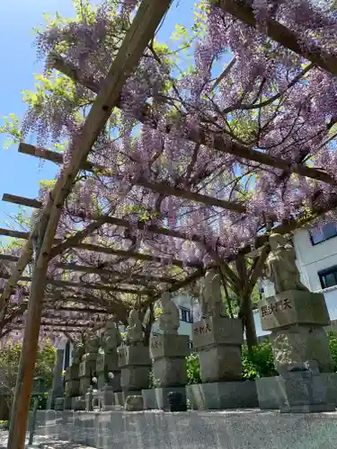 妙音寺の像