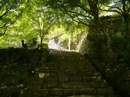 桑実寺の建物その他