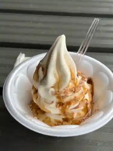 武田神社(山梨県)