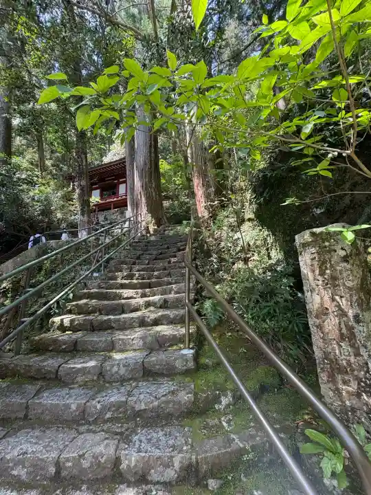 飛瀧神社(熊野那智大社別宮)の{uncategorized: "未分類", other: "その他", undefined: "問題あり", building: "その他建物", grave: "お墓", sacred_gate: "鳥居", guardian: "狛犬", statue: "像", buddha: "仏像", history: "歴史", nature: "自然", garden: "庭園", animal: "動物", pagoda: "塔", temizu: "手水舎", mountain_gate: "山門・神門", sanctuary: "本殿・本堂", subordinate: "末社・摂社", art: "芸術", scenery: "景色", jizo: "地蔵", ema: "絵馬", goshuin: "御朱印", omikuji: "おみくじ", items: "授与品その他", amulet: "お守り", goshuincho: "御朱印帳", eats: "食事", festival: "お祭り", votive_dance: "神楽", shichigosan: "七五三参", wedding: "結婚式", experience: "体験その他", initially: "初詣", around: "周辺", anti_infection: "感染症対策"}
