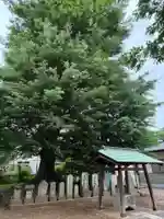 三社大神(千葉県)