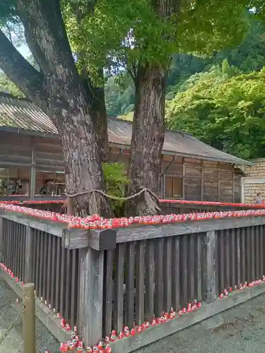 勝尾寺(大阪府)