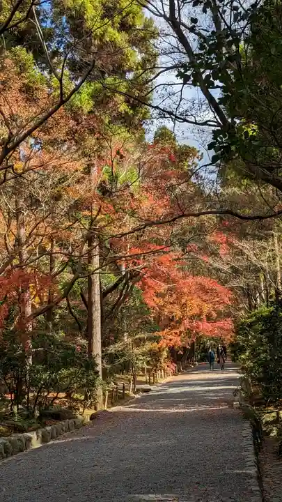 龍安寺(京都府)