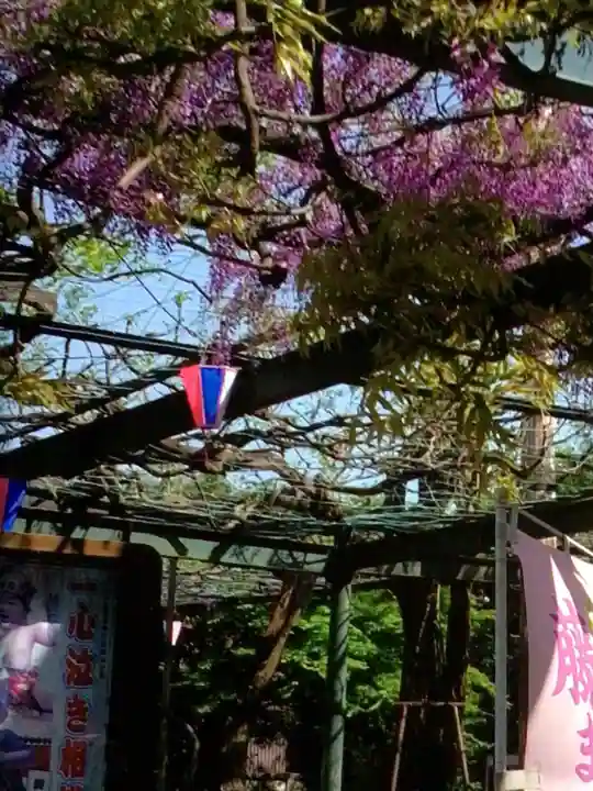 國領神社(東京都)