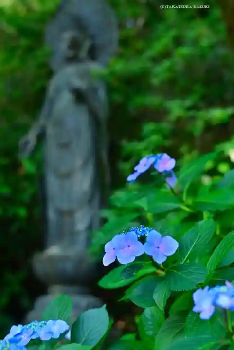 高幡不動尊 金剛寺(東京都)