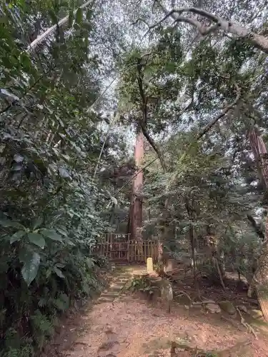 八重垣神社の{uncategorized: "未分類", other: "その他", undefined: "問題あり", building: "その他建物", grave: "お墓", sacred_gate: "鳥居", guardian: "狛犬", statue: "像", buddha: "仏像", history: "歴史", nature: "自然", garden: "庭園", animal: "動物", pagoda: "塔", temizu: "手水舎", mountain_gate: "山門・神門", sanctuary: "本殿・本堂", subordinate: "末社・摂社", art: "芸術", scenery: "景色", jizo: "地蔵", ema: "絵馬", goshuin: "御朱印", omikuji: "おみくじ", items: "授与品その他", amulet: "お守り", goshuincho: "御朱印帳", eats: "食事", festival: "お祭り", votive_dance: "神楽", shichigosan: "七五三参", wedding: "結婚式", experience: "体験その他", initially: "初詣", around: "周辺", anti_infection: "感染症対策"}