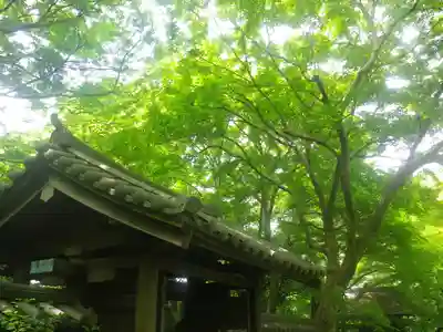瑞泉寺の山門・神門