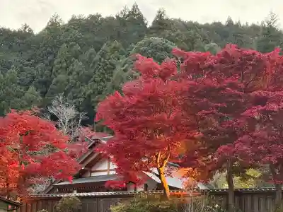 秩父御嶽神社(埼玉県)