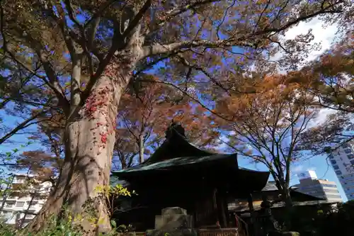 愛宕神社の本殿・本堂