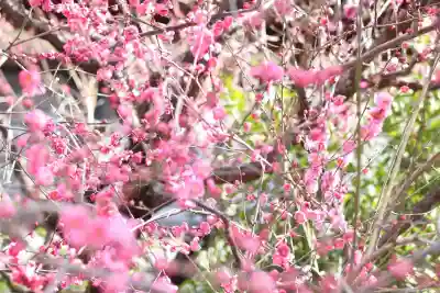大國魂神社(東京都)