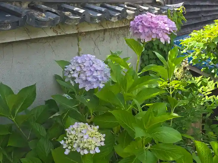 長峯寺(京都府)
