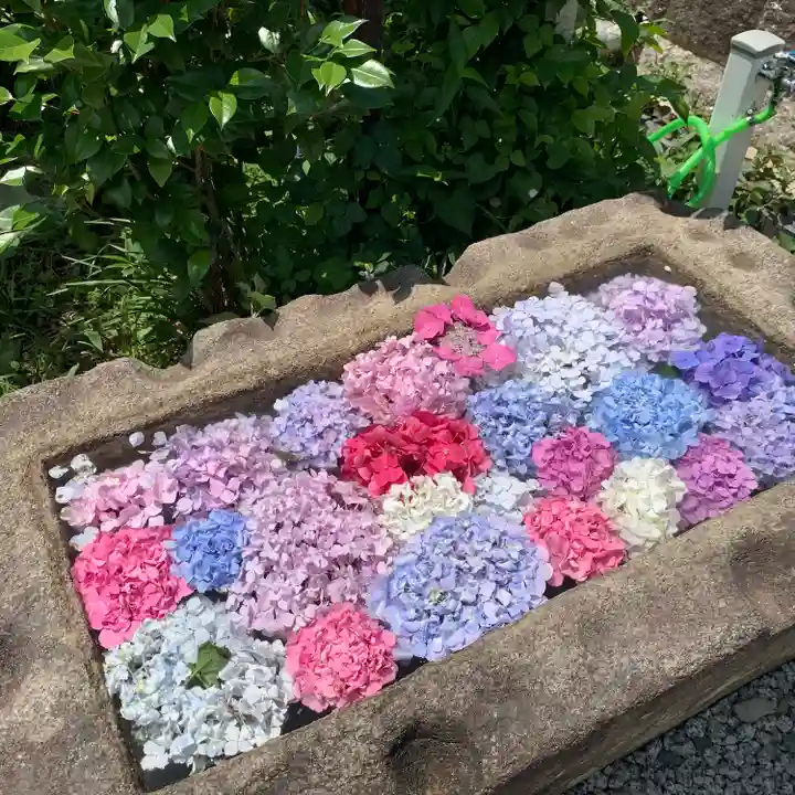 般若寺 ❁コスモス寺❁(奈良県)