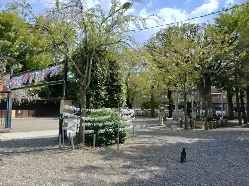 本町南町八幡神社(東京都)