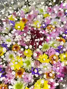 伊達神社の手水舎(2023年01月14日(土) 18時23分28秒投稿)