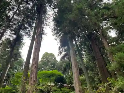 大宮温泉神社(栃木県)