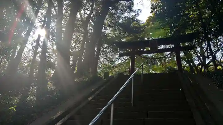 氷川女體神社(埼玉県)