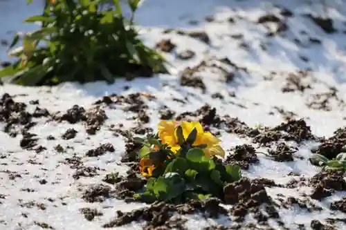 大鏑神社の庭園