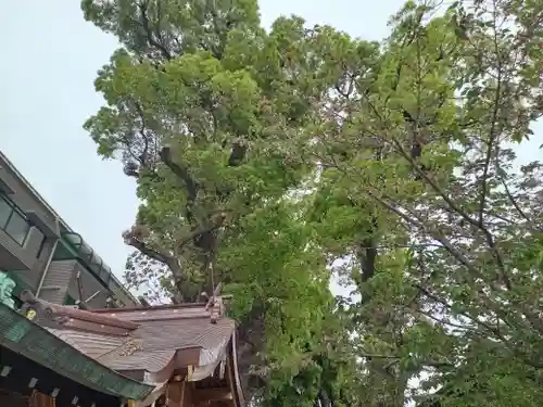 阿倍王子神社(大阪府)