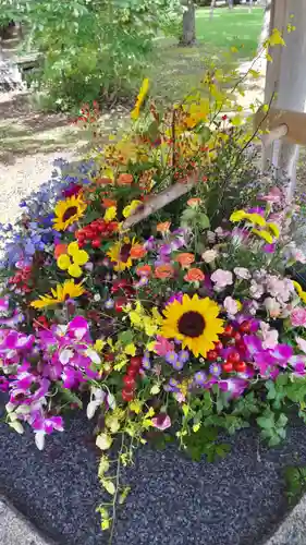 当別神社の手水舎