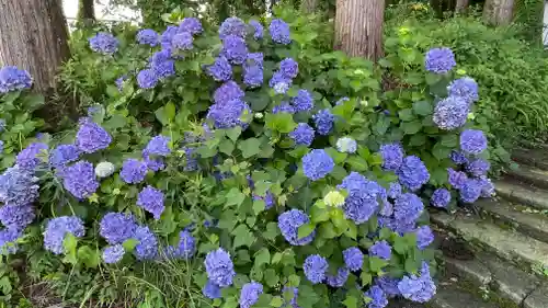 清行院　深堀観音堂の自然