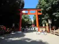 賀茂御祖神社(下鴨神社)の鳥居