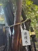 白山神社(愛知県)