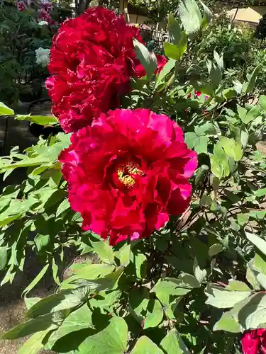 刑部神社の庭園