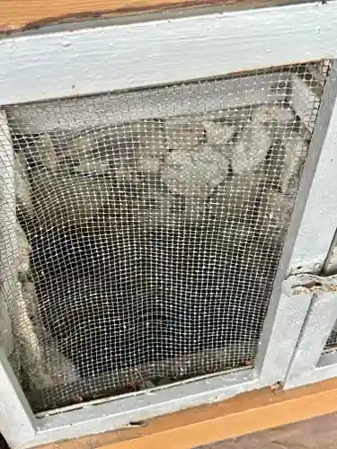 吉祥草寺(奈良県)